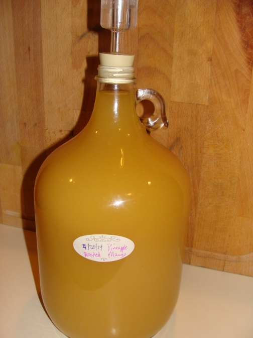 One gallon of strained Pineapple-Mango Melomel.